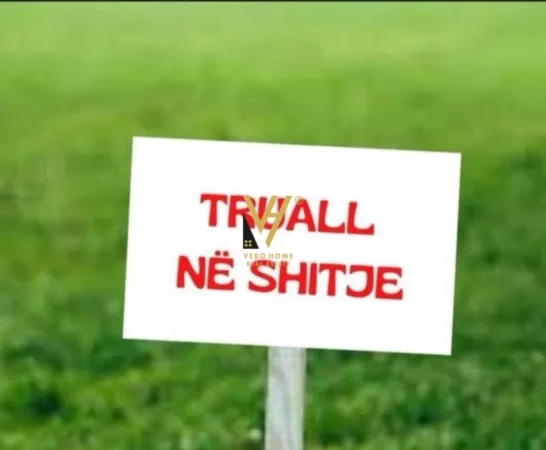 Fier, shitet toke , 60.000 m² 650.000 € (LIKOVUN, FESHTAN)