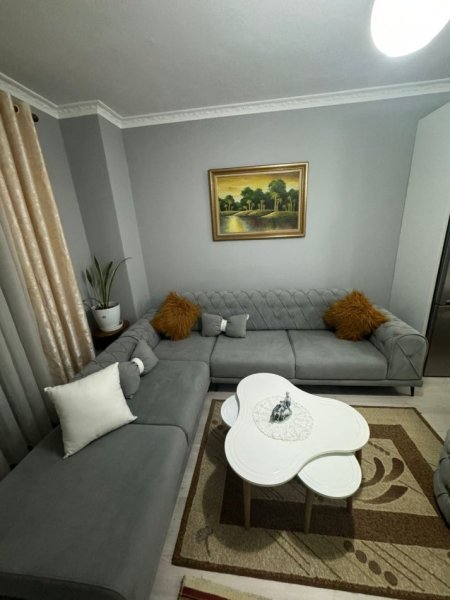 Tirane, jepet me qera apartament 1+1+Ballkon Kati 5, 65 m² 480 € (Vila L, Rruga Sokrat Miho)