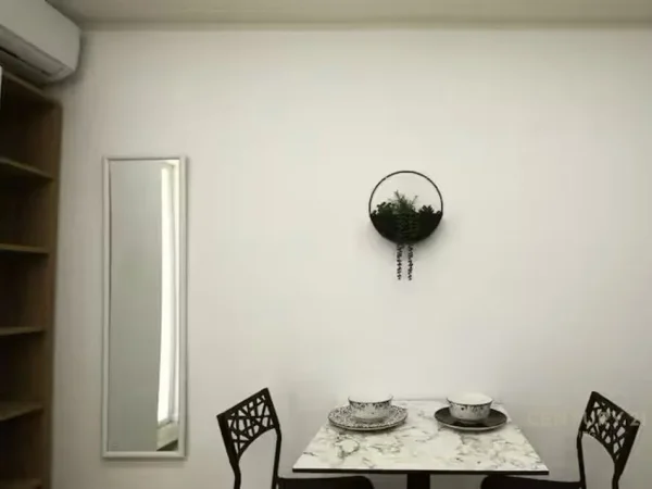 Tirane, jepet me qera garsonier 1+1 Kati 1, 30 m² 550 € (21 dhjetori)