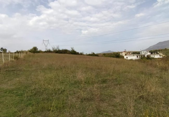 Kavaje, shitet toke , 20.000 m² 260.000 € (në Vile Bashtove Kavaje)