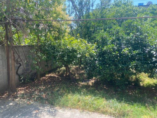 Tirane, jepet me qera shtepi 1+1+Ballkon Kati 0, 65 m² 300 € (ne rrugen Jordan Misja Tirane.)