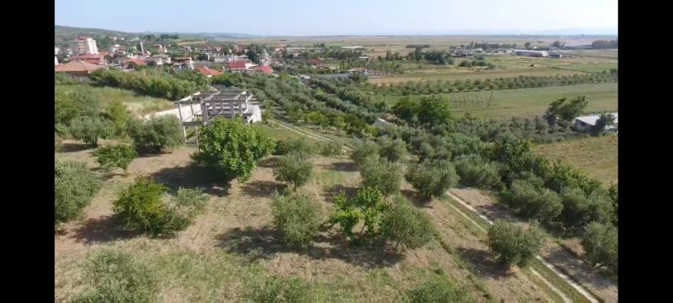 Lushnje, shitet toke , 3.500 m² 150.000 € (Kodrat e Ardenices)