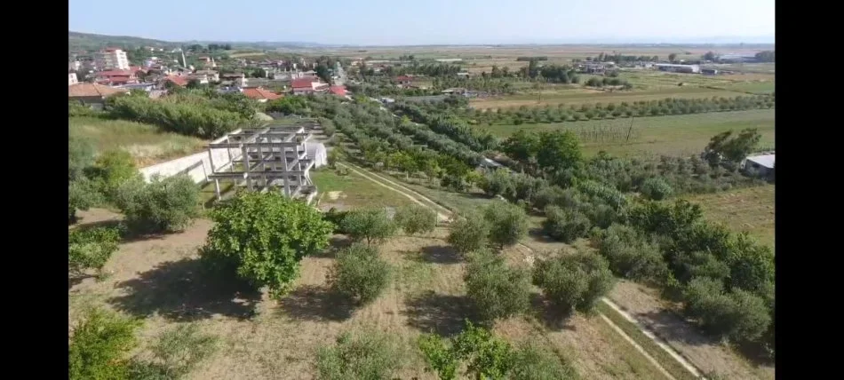 Lushnje, shitet toke , 3.500 m² 150.000 € (Kodrat e Ardenices)