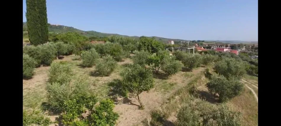 Lushnje, shitet toke , 3.500 m² 150.000 € (Kodrat e Ardenices)