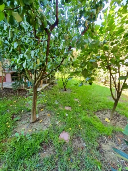 Tirane, shitet Vile 3 Katshe Kati 3, 1.000 m² 350.000 € (Peze e Vogel)
