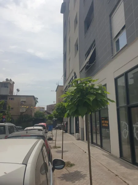 Tirane, jepet me qera dyqan Kati 0, 25 m² 420 Euro (Globe)