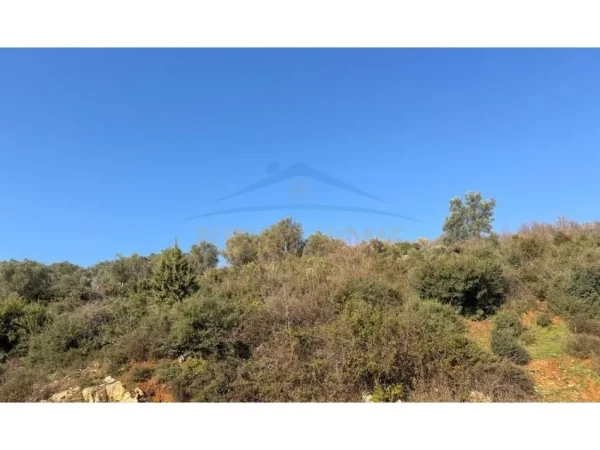 Tirane, shitet truall , 3.000 m² 275.000 € (Surrel)