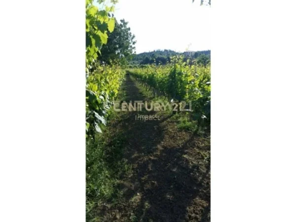 Tirane, shes toke , 2.300 m² 84.000 € (baldushk)