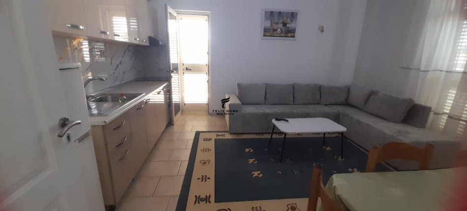 Tirane, jepet me qera apartament 2+1+Ballkon Kati 1, 200 m² 500 € (RRUGA E ELBASANIT)