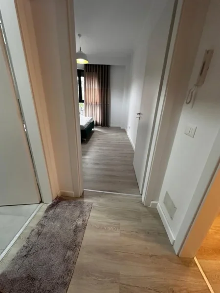 Tirane, jepet me qera apartament 1+1+Ballkon Kati 1, 67 m² 750 € (pazari i ri)