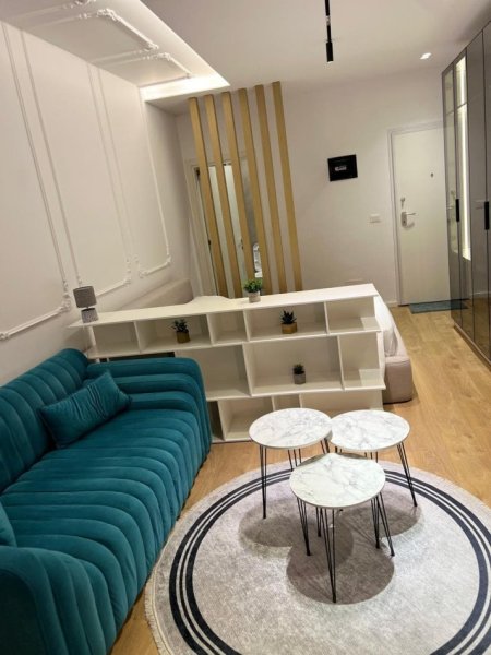 Tirane, jepet me qera garsonier 1+1 Kati 2, 40 m² 500 € (komuna e parsit)
