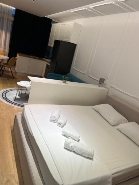 Tirane, jepet me qera garsonier 1+1 Kati 2, 40 m² 500 € (komuna e parsit)