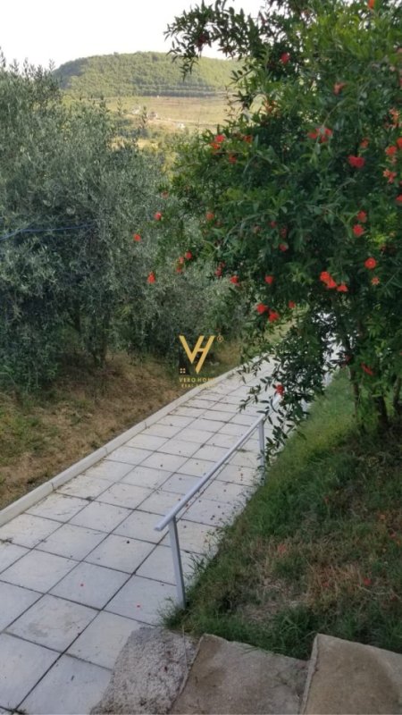 Tirane, jepet me qera shtepi 2+1+Ballkon Kati 0, 100 m² 600 € (PICALLE)