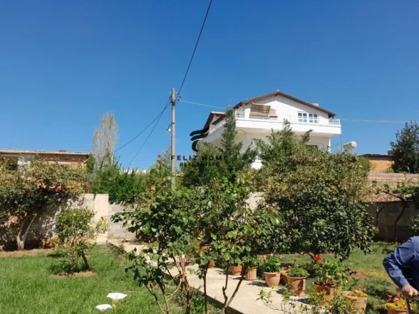 Tirane, jepet me qera Vile 3 Katshe Kati 3, 500 m² 1.500 € (KINOSTUDIO)