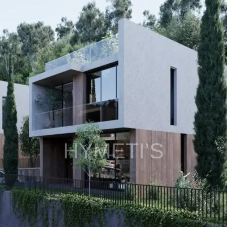 Tirane, shitet Vile 2 Katshe , 380 m² (Rruga Panorama e Liqenit 1044)