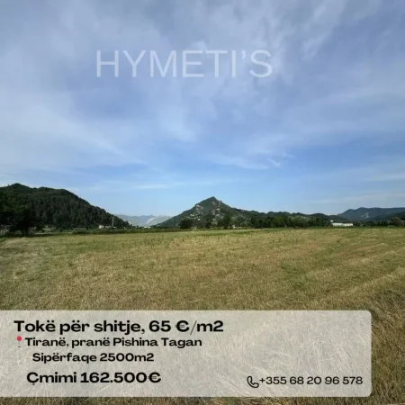 Tirane, shitet toke , 2.500 m² 162.500 € (Tiranë, Vishaj, Pishina Tagan)