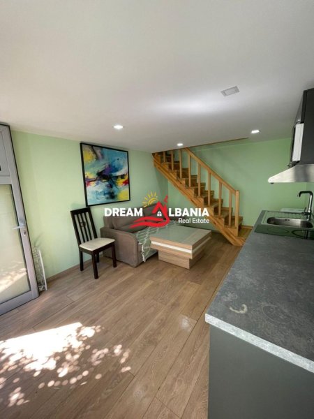 Tirane, jepet me qera apartament 1+1 Kati 1, 55 m² 600 € (Tek 21 Dhjetori, Rruga Frosina Plaku)
