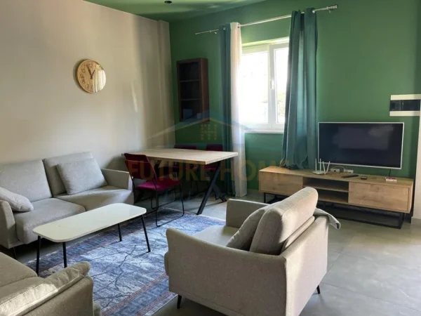 Tirane, jepet me qera apartament 1+1+Ballkon Kati 1, 60 m² 450 € (Rruga e Dibres)
