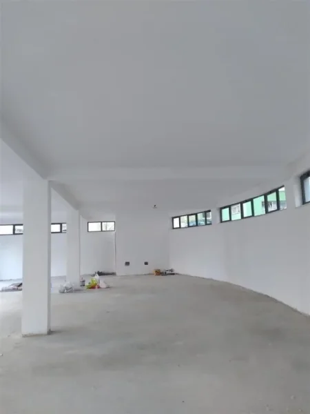 Tirane, jepet me qera ambjent biznesi Kati 0, 190 m² 2.000 € (KOPSHTI ZOOLOGJIK)