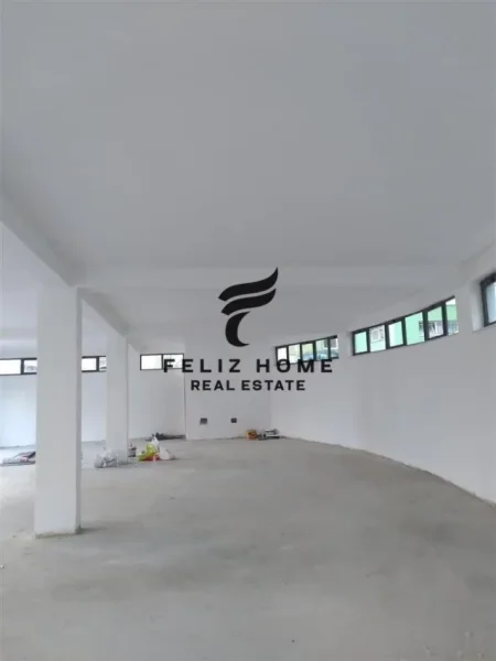 Tirane, shitet ambjent biznesi Kati 2, 186 m² 242.000 € (KOPSHTI ZOOLOGJIK)