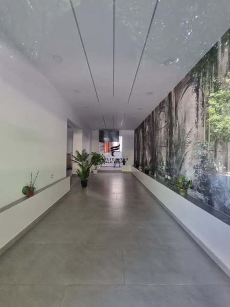 Tirane, jepet me qera dyqan Kati 0, 55 m² 700 € (PAZARI I RI)