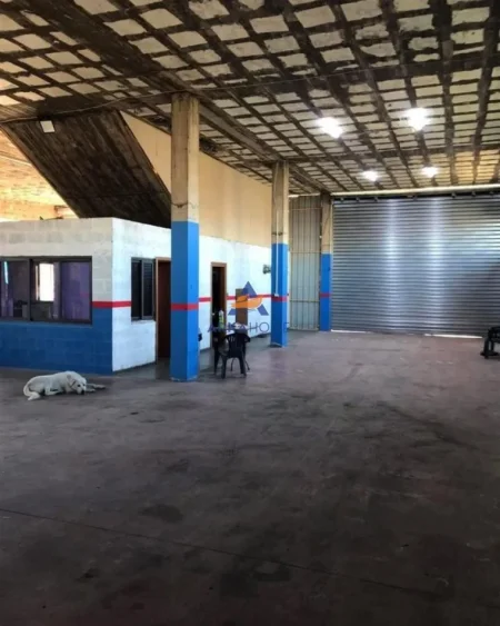 Tirane, jepet me qera magazine Kati 0, 600 m² 1.300 € (RRUGA STACIONI I TRENIT,VORË)