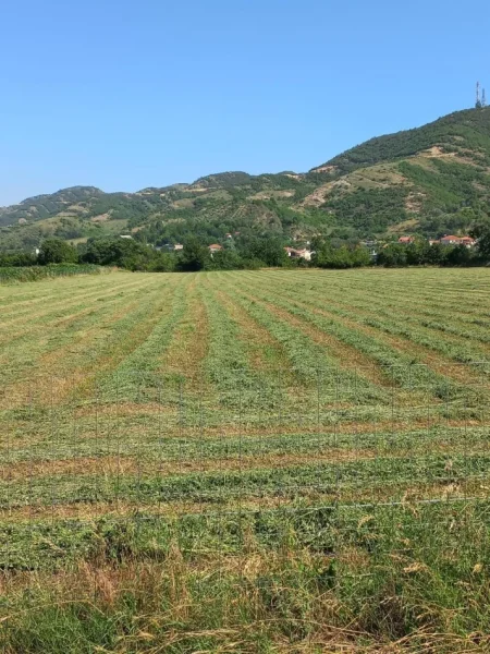 Tirane, shitet truall , 11.500 m² (PETRELE)