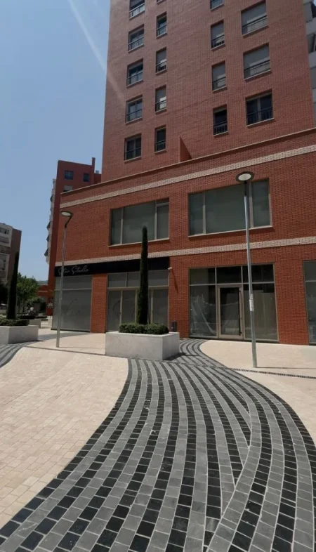 Tirane, jap me qera apartament 2+1+Ballkon Kati 4, 120 m² 1.500 € (delijorgji)