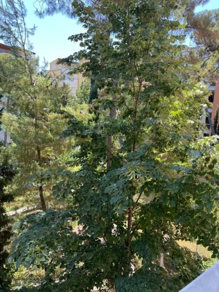 !!Shitur!! Durres, shitet apartament 2+1+Aneks+Ballkon Kati 2, 100 m² 148.000 € (Kompleksi Freskia, Golem)