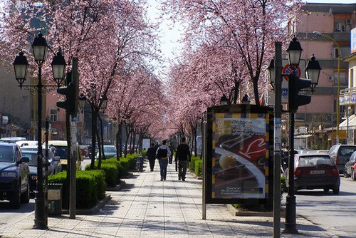 Tirane, jepet me qera apartament 1+1 Kati 1, 50 m² 1.000 € (rruga e kavajes)