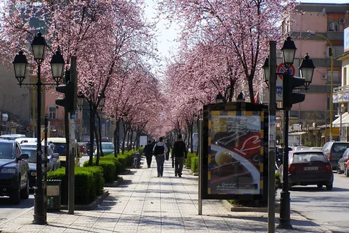 Tirane, jepet me qera ambjent biznesi Kati 1, 50 m² 1.000 € (rruga e kavajes)