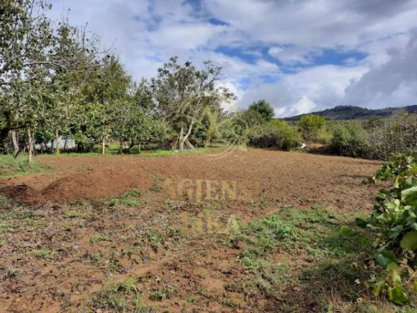 Kavaje, shes shtepi Kati 0, 130 m² 85.000 Euro (Kanaparaj Kavaje)