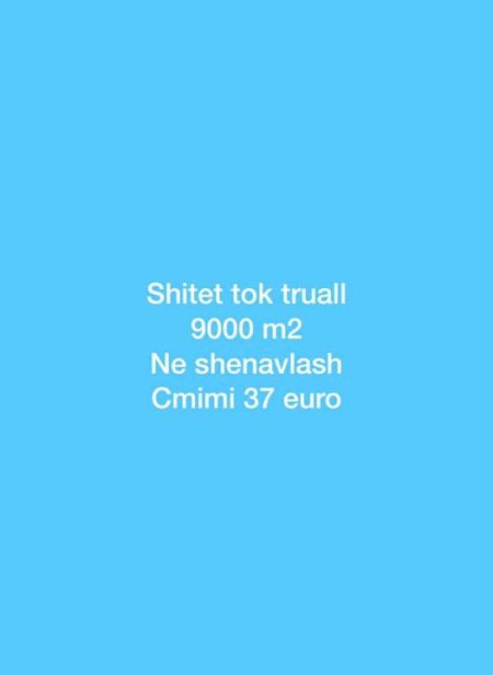 Durres, shes toke 37 Euro/m2