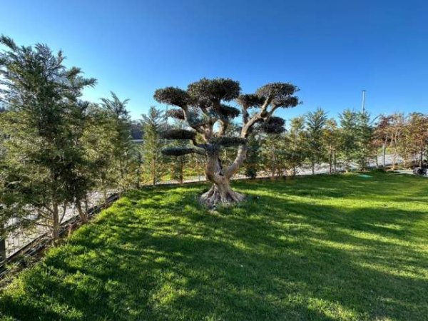 Tirane, jepet me qera apartament Kati 1, 150 m² 5.000 Euro
