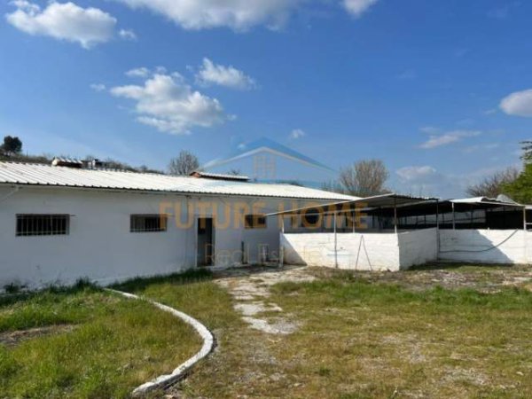 Tirane, jepet me qera magazine Kati 0, 1.850 m² 1.500 Euro (BALDUSHK)