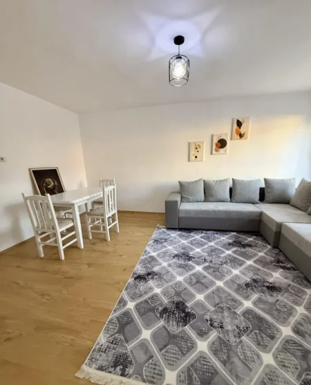 Tirane, jepet me qera apartament 1+1 Kati 2, 490 € 