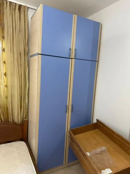 Tirane, Objekte të ndryshme shtëpiake