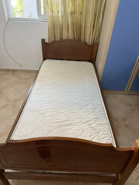 Tirane, Objekte të ndryshme shtëpiake