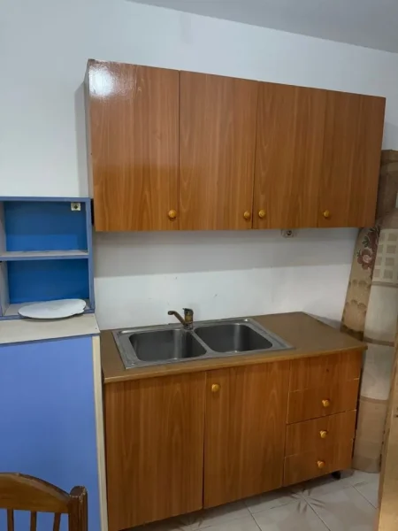 Tirane, Objekte të ndryshme shtëpiake