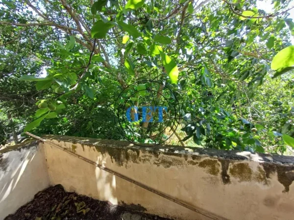 Durres, shitet shtepi 3 Katshe Kati 3, 320 m² 130.000 € (Spitall, Dirres)