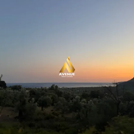 Shqiperi, shitet toke , 1.100 m² 200.000 € (borsh)