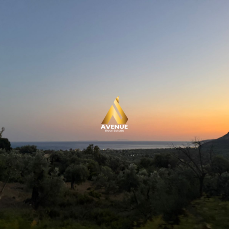 Shqiperi, shitet toke , 1.100 m² 200.000 € (borsh)