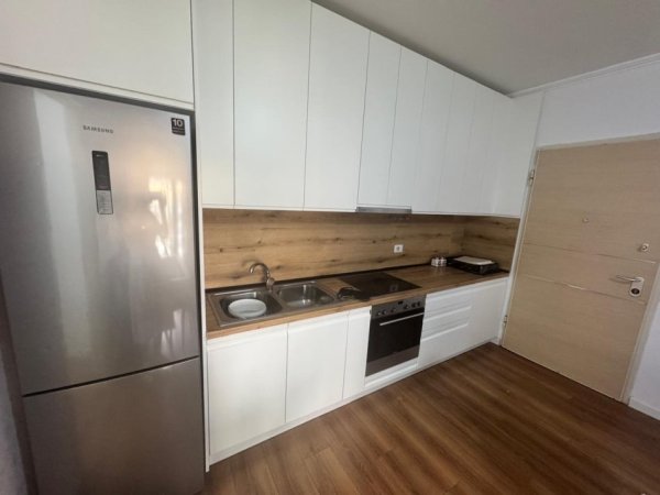 Tirane, jepet me qera apartament 1+1+Ballkon Kati 2, 65 m² 600 € (Rr. Haxhi Dalliu Pas Shkencave te Natyres,)