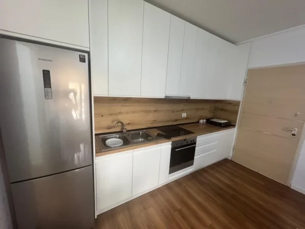 Tirane, jepet me qera apartament 1+1+Ballkon Kati 2, 65 m² 600 € (Rr. Haxhi Dalliu Pas Shkencave te Natyres,)
