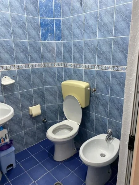 Tirane, jepet me qera apartament duplex 2+1 Kati 2, 120 m² 500 € (ALI DEMI)
