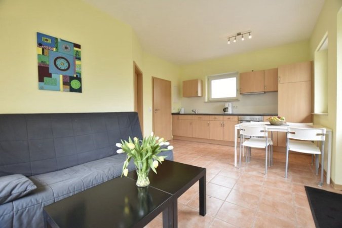 Tirane, jepet me qera apartament 1+1 Kati 2, 60 m² 450 € (ISH PARKU)