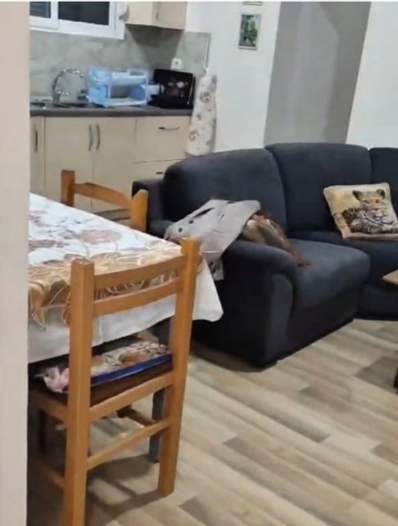 Tirane, jepet me qera apartament 2+1+Ballkon Kati 2, 100 m² 400 € 