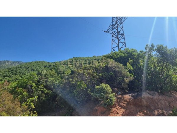 Tirane, shes toke , 8.880 m² 710.400 € (Dajt)