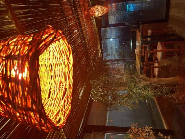 Tirane, shitet lokal busines Sushi Resto Bar dhe dyqan peshku, Kati 0, 130 m² 12.000 Euro