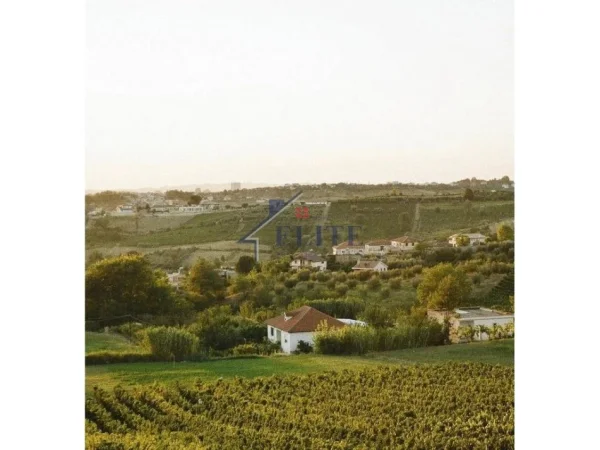 Tirane, shitet toke , 5.000 m² 300.000 € 